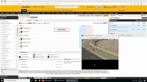 My Greyhound Betfair Trading Strategies .